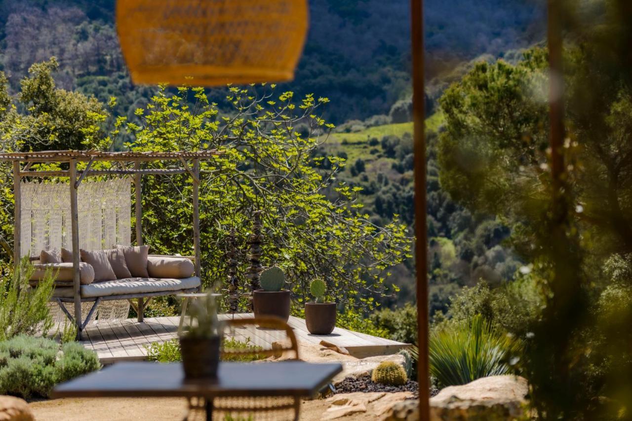 Terre De Maquis, Maison D'Hotes Vue Mer Corse Sari-D'orcino Εξωτερικό φωτογραφία