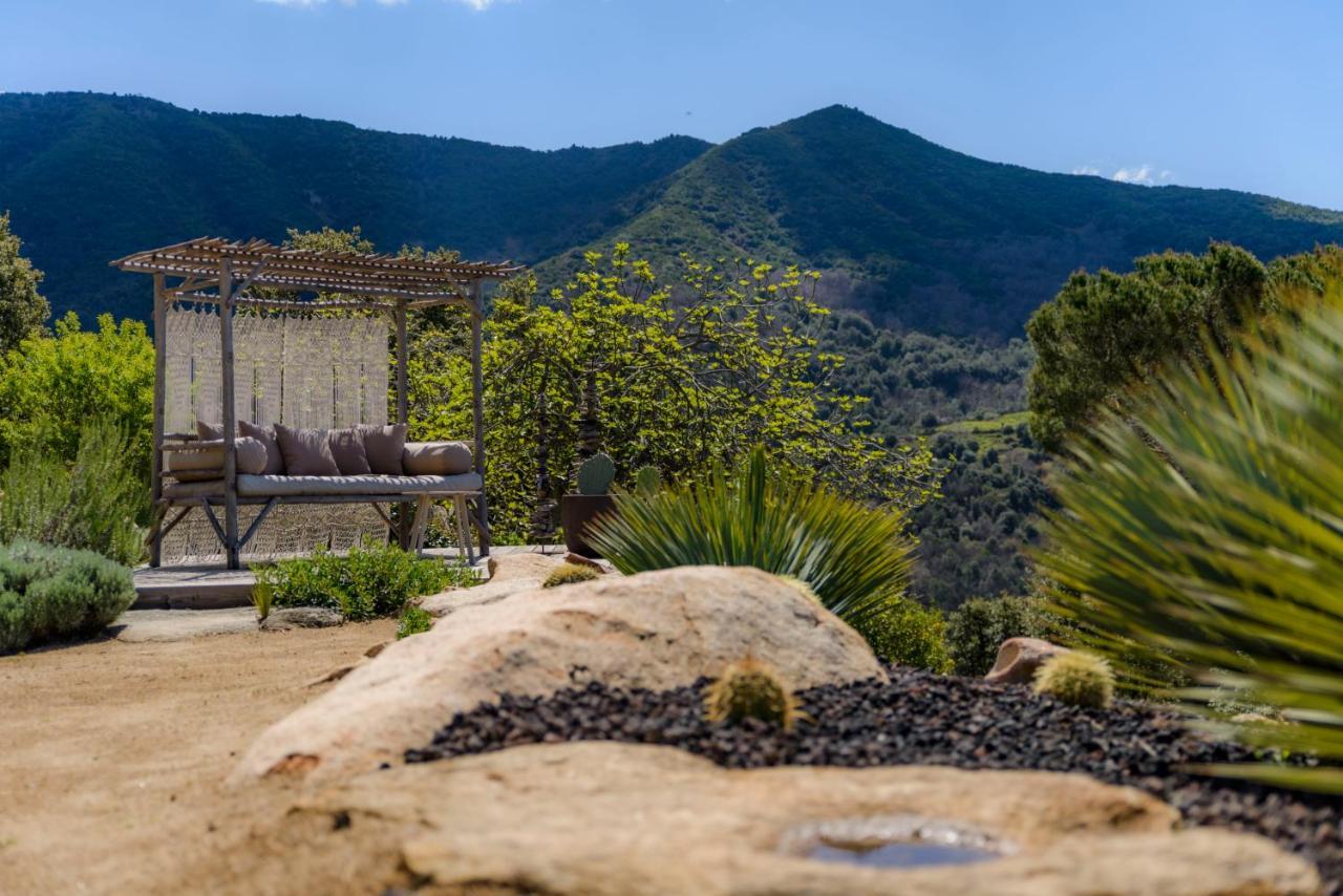 Terre De Maquis, Maison D'Hotes Vue Mer Corse Ξενοδοχείο Sari-D'orcino Εξωτερικό φωτογραφία