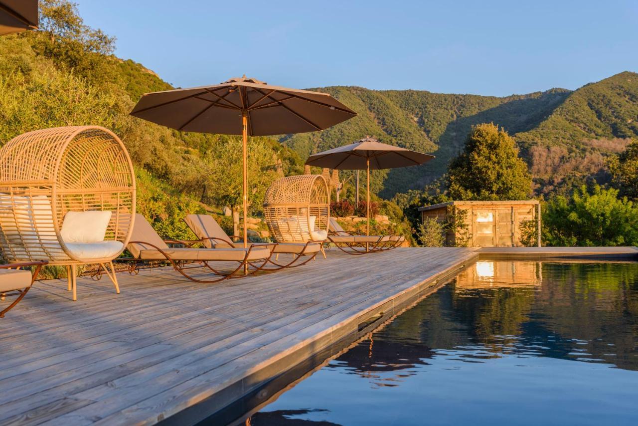 Terre De Maquis, Maison D'Hotes Vue Mer Corse Sari-D'orcino Εξωτερικό φωτογραφία