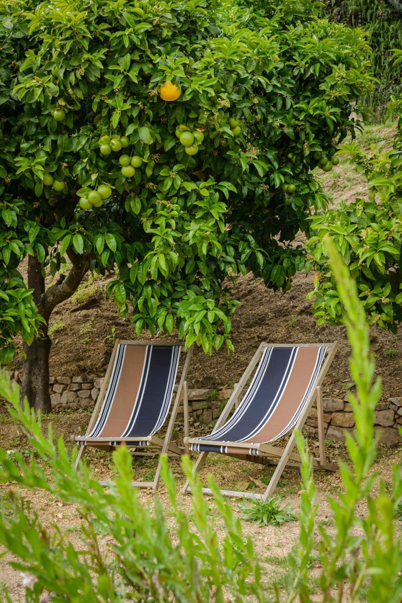 Terre De Maquis, Maison D'Hotes Vue Mer Corse Sari-D'orcino Εξωτερικό φωτογραφία