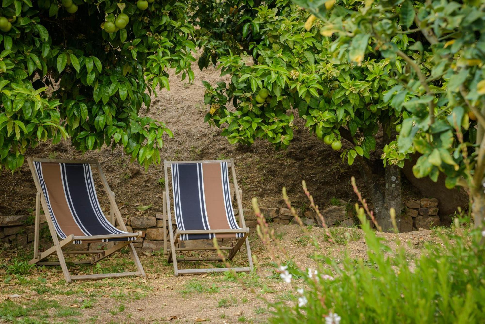 Terre De Maquis, Maison D'Hotes Vue Mer Corse Sari-D'orcino Εξωτερικό φωτογραφία